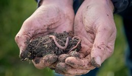 Devon: GREATsoils – Unlocking slurry nutrients for healthier soils